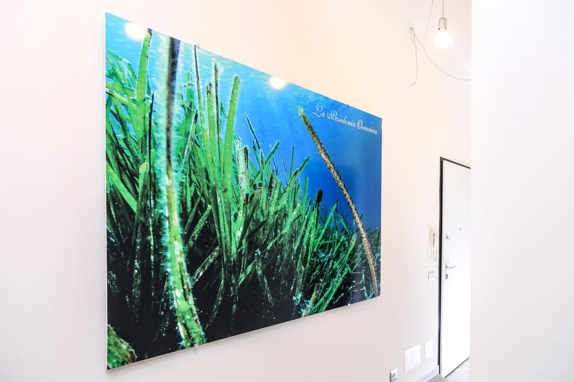 La Posidonia Oceanica Bed & Breakfast Alghero Ngoại thất bức ảnh